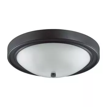 Настенно-потолочный светильник Lumion Vintage Nina 5260/3C