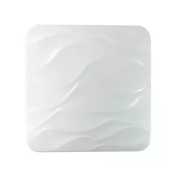 Настенно-потолочный светодиодный светильник Sonex Ricon 2091/CL