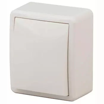 Переключатель одноклавишный ЭРА Эксперт 10AX 250V 11-1203-02 Б0020661