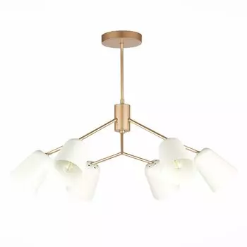 Подвесная люстра Evoluce Mario SLE155902-06