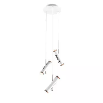 Подвесная светодиодная люстра Favourite Duplex 2325-6P