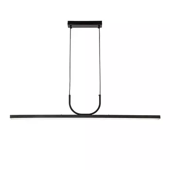 Подвесная светодиодная люстра Favourite Raya 4096-2P