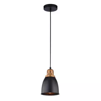 Подвесной светильник Arte Lamp Eurica A4248SP-1BK