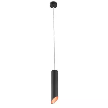 Подвесной светильник Arte Lamp Pilon-Gold A1536SP-1BK