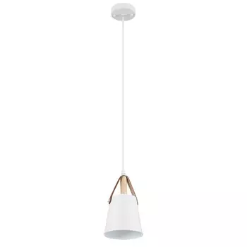 Подвесной светильник Arte Lamp THOMAS A7032SP-1WH