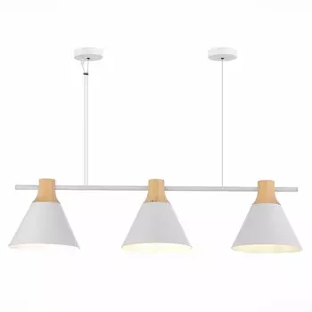 Подвесной светильник Evoluce MODICA SLE125103-03