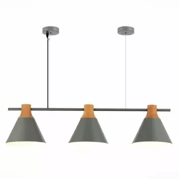 Подвесной светильник Evoluce MODICA SLE125113-03