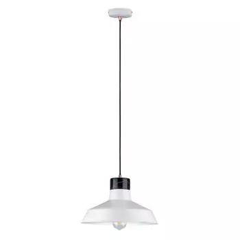 Подвесной светильник Paulmann Disa 79607