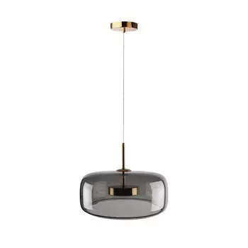 Подвесной светодиодный светильник Loft IT Dauphin 10041B