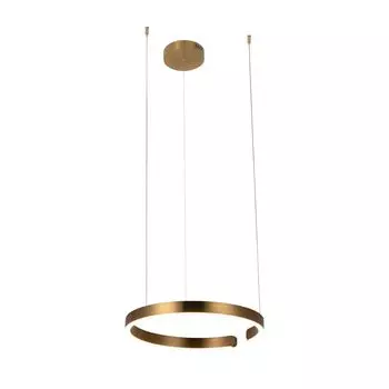 Подвесной светодиодный светильник Loft IT Ring 10013M