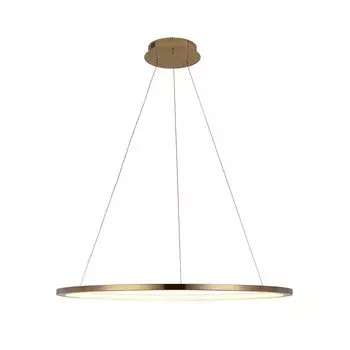 Подвесной светодиодный светильник Loft IT Ring 10014L