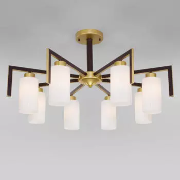 Потолочная люстра Eurosvet Palio 70126/8 черный