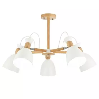 Потолочная люстра Evoluce Balcamo SLE103802-05