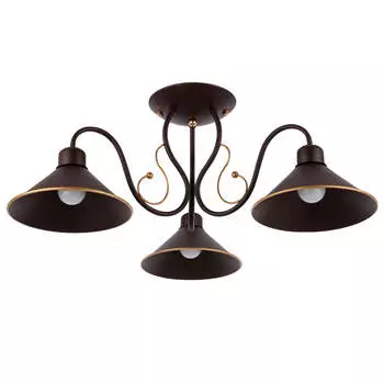 Потолочная люстра Evoluce Ciolla SLE120402-03