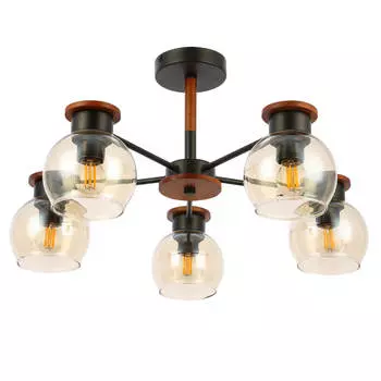 Потолочная люстра Evoluce Rasco SLE108102-05