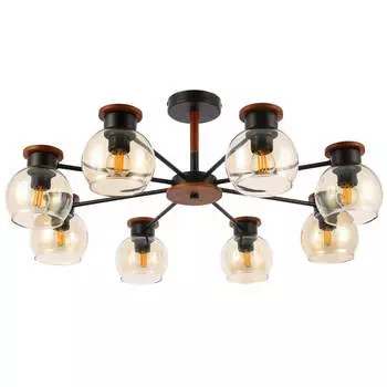 Потолочная люстра Evoluce Rasco SLE108102-08