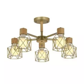 Потолочная люстра Evoluce Stelitto SLE110402-05