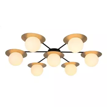 Потолочная люстра F-Promo Roshni 3050-7P