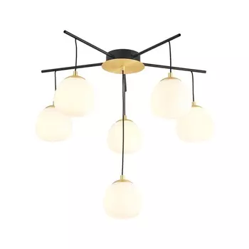 Потолочная люстра Favourite Paramount 3047-6P