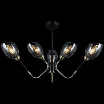 Потолочная люстра Illumico IL9960-6CSQ-79 BK AB