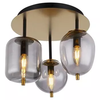 Потолочная люстра Lussole LOFT LSP-8730