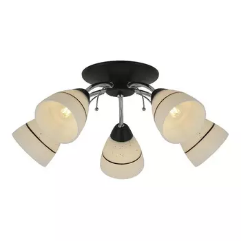 Потолочная люстра Toplight Winnifred TL1255D-05BC