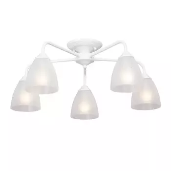 Потолочная люстра Vitaluce V3946-0/5PL