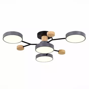 Потолочная светодиодная люстра Evoluce FAEMA SLE6006-702-04