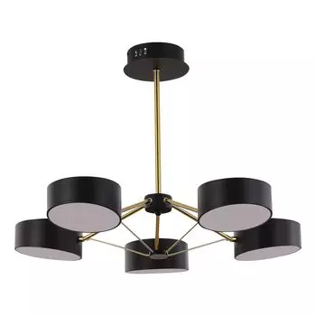 Потолочная светодиодная люстра Evoluce Valle SLE6005-402-05