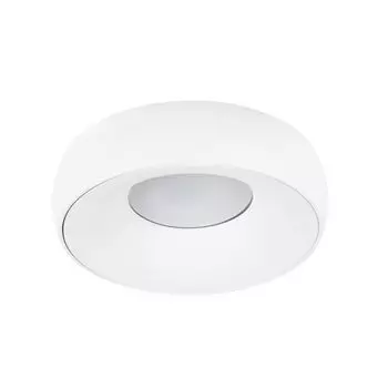 Потолочный светильник Arte Lamp Heze A6665PL-1WH