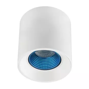 Потолочный светильник Denkirs DK3020WСY DK3090-WH+CY