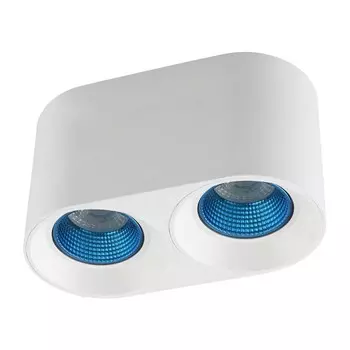 Потолочный светильник Denkirs DK3020WСY DK3096-WH+CY