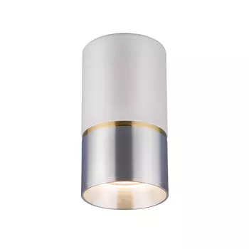 Потолочный светильник Elektrostandard DLN106 GU10 белый/серебро a047730