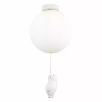 Потолочный светильник Evoluce MODENA SLE115412-01