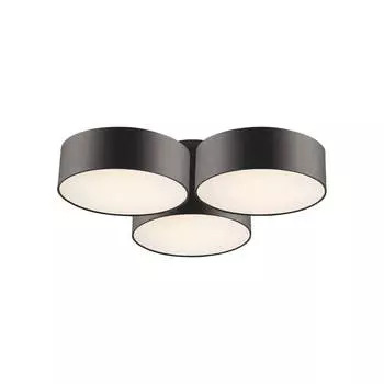 Потолочный светильник Favourite Cerchi 1514-6C