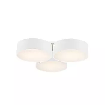 Потолочный светильник Favourite Cerchi 1515-6C