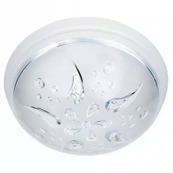 Потолочный светильник Horoz Уфо Роза Ветров 400-001-101 HRZ00001440