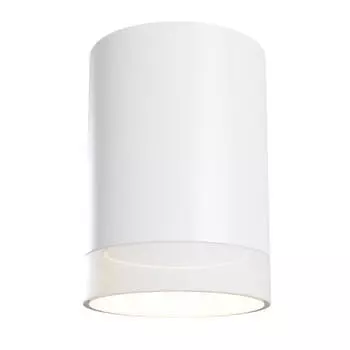 Потолочный светильник Maytoni Pauline C008CW-01W