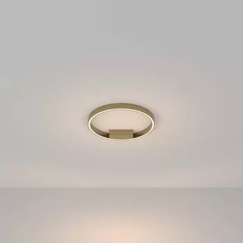 Потолочный светильник Maytoni Rim MOD058CL-L25BS3K