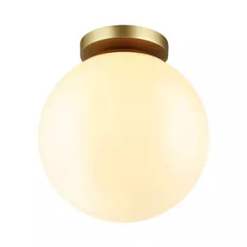 Потолочный светильник Odeon Light Hightech Bosco 4248/1C