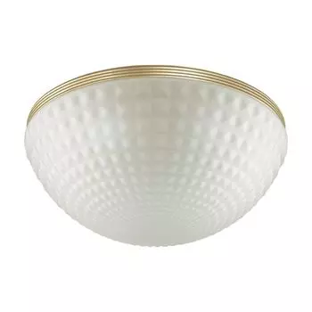 Потолочный светильник Odeon Light Modern Malaga 4936/4C