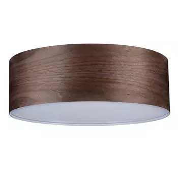 Потолочный светильник Paulmann Liska 79687