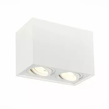 Потолочный светильник ST Luce ST109.507.02