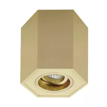 Потолочный светильник Zumaline Polygon cl r 20077-GD