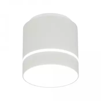 Потолочный светодиодный светильник Citilux Борн CL745020N