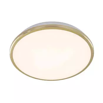 Потолочный светодиодный светильник Citilux Луна CL702222W