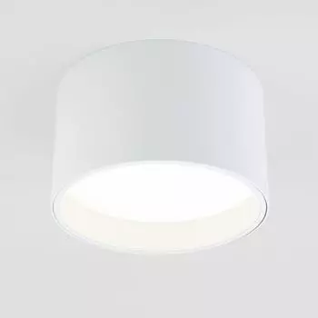 Потолочный светодиодный светильник Elektrostandard 25123/Led Banti 13Вт 4200K a058846