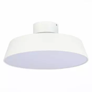 Потолочный светодиодный светильник Evoluce Vigo SLE600252-01