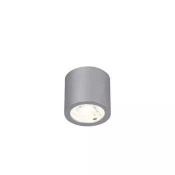 Потолочный светодиодный светильник Favourite Deorsum 2808-1C