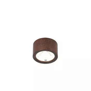 Потолочный светодиодный светильник Favourite Deorsum 2809-1U